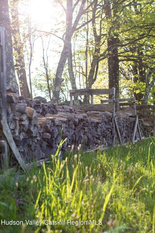 49 Yaun Road, Livingston Manor, NY 12758