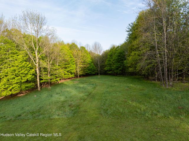49 Yaun Road, Livingston Manor, NY 12758