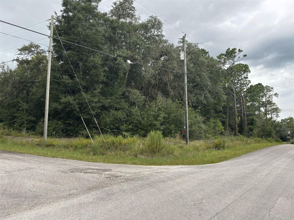0 SW SOUTH WIND COURT, Dunnellon, FL 34431