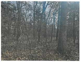 000 Pomme De Terre Road, Branson, MO 65616
