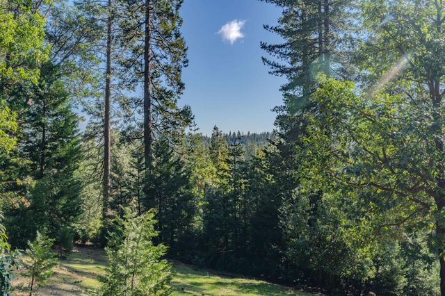 17485 canyon View ct, Pioneer, CA 95666