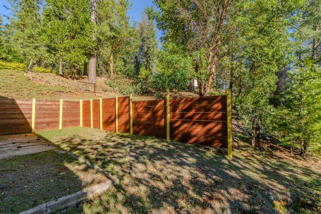 17485 canyon View ct, Pioneer, CA 95666