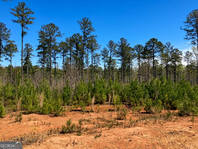 2920 Airline Road, Mcdonough, GA 30252