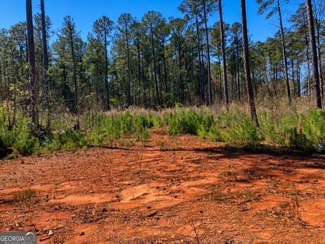 2920 Airline Road, Mcdonough, GA 30252