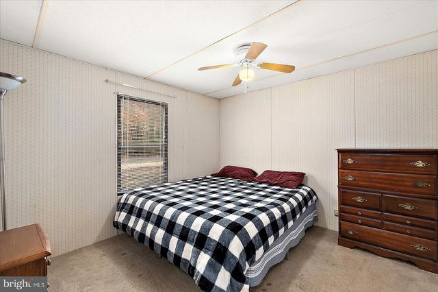 729 SNOW HILL RD, Stockton, MD 21864