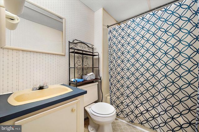 729 SNOW HILL RD, Stockton, MD 21864