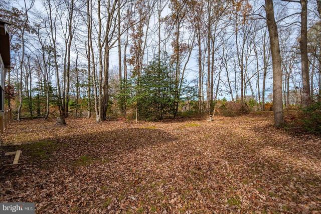 729 SNOW HILL RD, Stockton, MD 21864