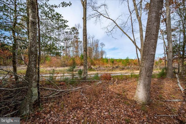 729 SNOW HILL RD, Stockton, MD 21864