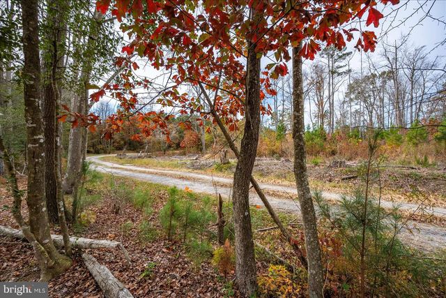 729 SNOW HILL RD, Stockton, MD 21864