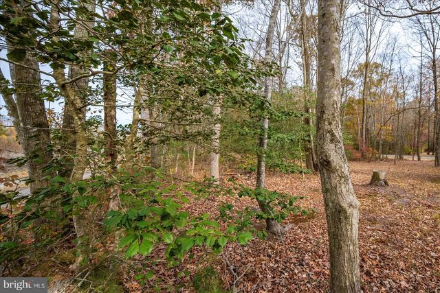 729 SNOW HILL RD, Stockton, MD 21864