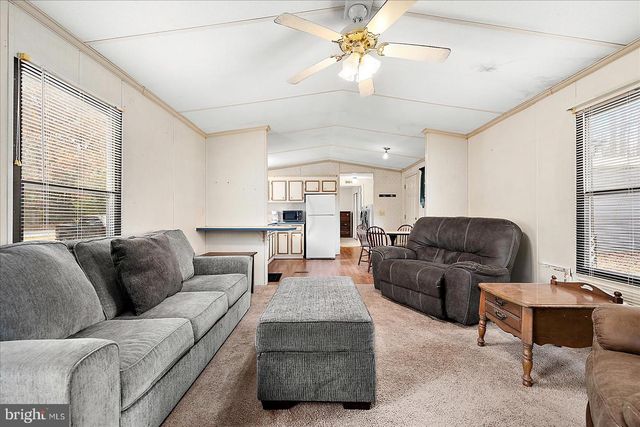 729 SNOW HILL RD, Stockton, MD 21864