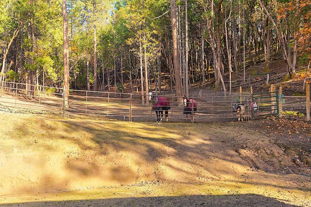 315 Hitching Post Road, Grants Pass, OR 97526