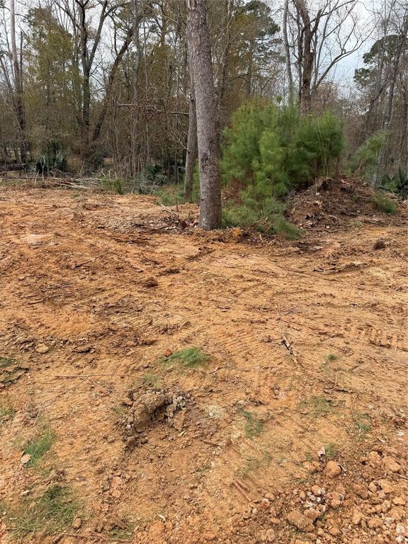 524 White Oak Drive, Houston, TX 77336