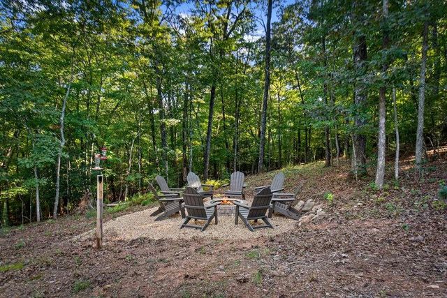 1081 Dills Road, Blue Ridge, GA 30513