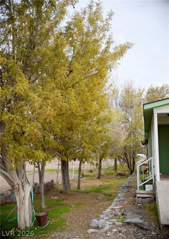 75 West Obsidian Avenue, Sandy Valley, NV 89019 — photo 3