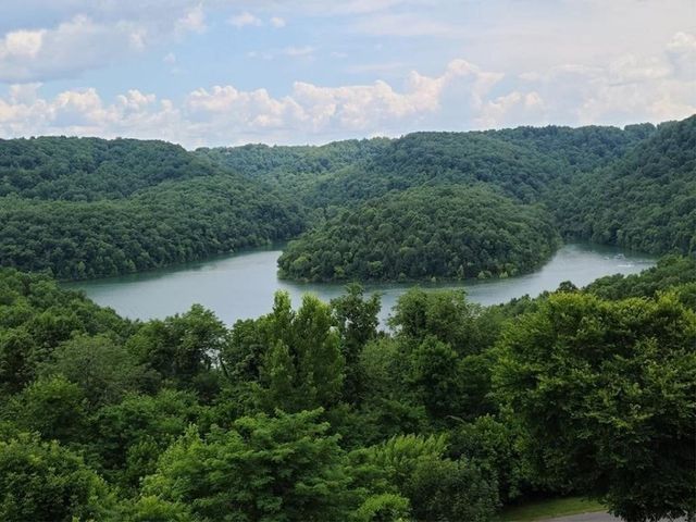 20 Bella Grace Dr, Smithville, TN 37166