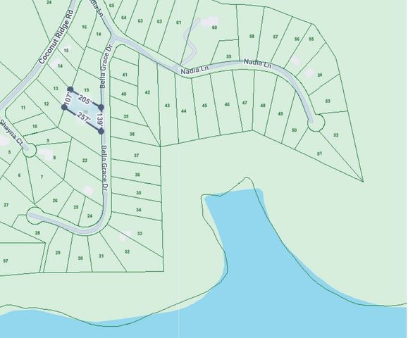 20 Bella Grace Dr, Smithville, TN 37166