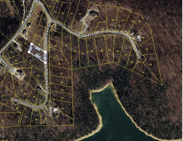 20 Bella Grace Dr, Smithville, TN 37166