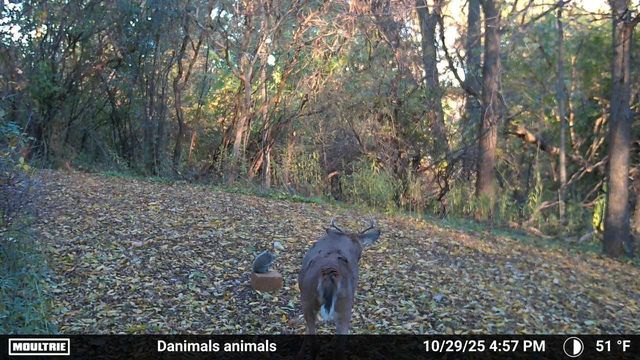 2780 HUMBOLDT ROAD, Green Bay, WI 54311