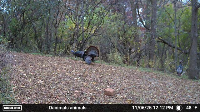 2780 HUMBOLDT ROAD, Green Bay, WI 54311