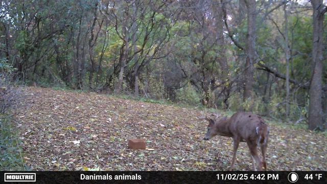 2780 HUMBOLDT ROAD, Green Bay, WI 54311