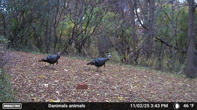 2780 HUMBOLDT ROAD, Green Bay, WI 54311