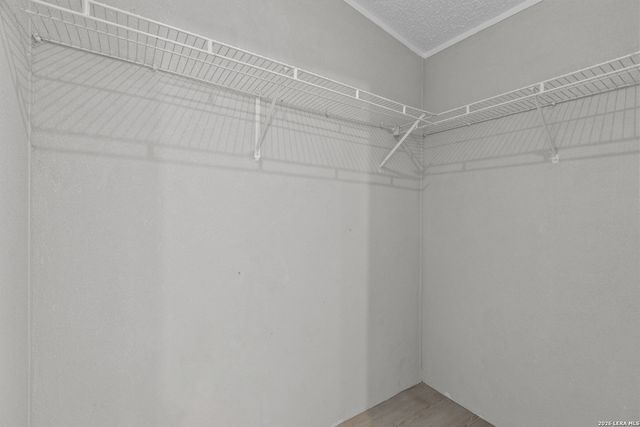 23203 KENDALL WAY, San Antonio, TX 78264