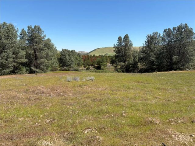 705 Calf Canyon, Creston, CA 93432