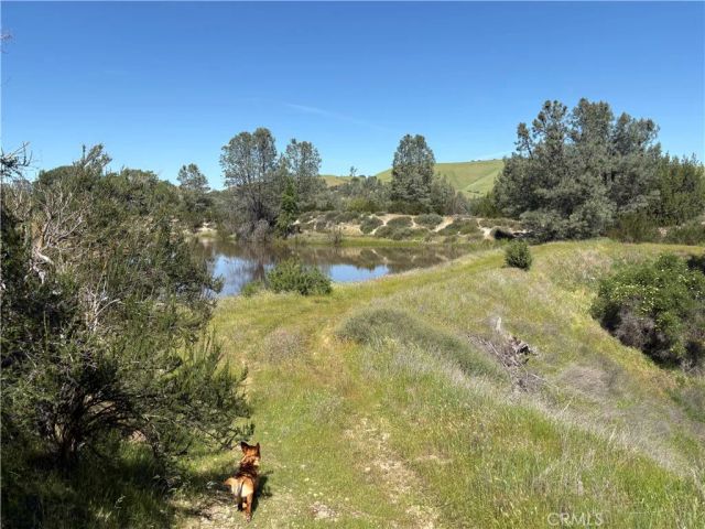 705 Calf Canyon, Creston, CA 93432