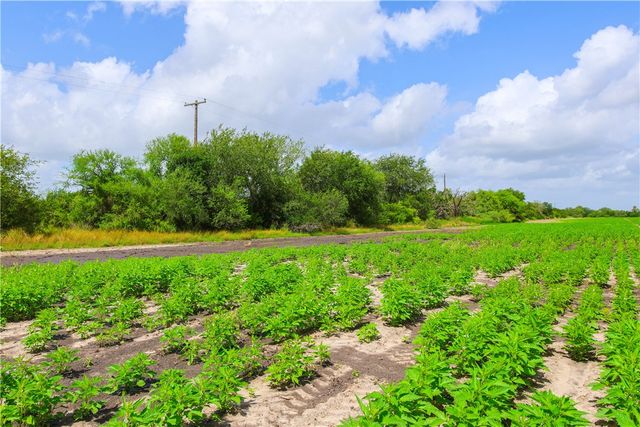 TBD N Hwy 281, Alice, TX 78332