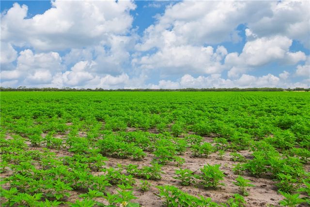 TBD N Hwy 281, Alice, TX 78332