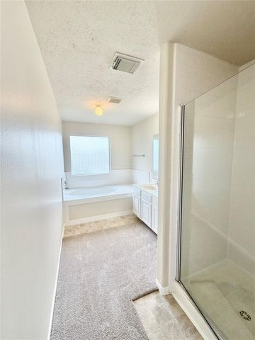 21734 Texian Court, Spring, TX 77388