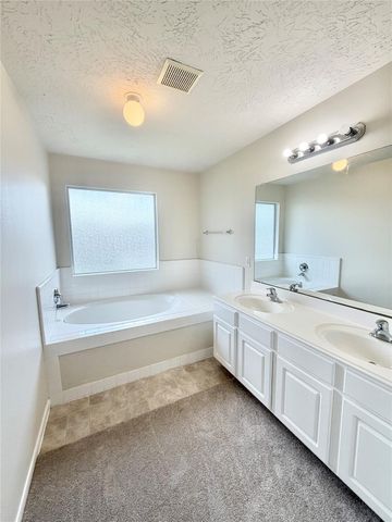21734 Texian Court, Spring, TX 77388