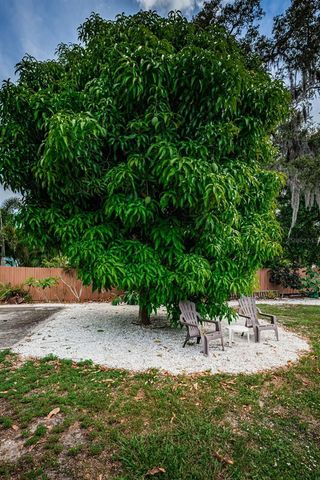 412 PENNSYLVANIA AVENUE, Palm Harbor, FL 34683