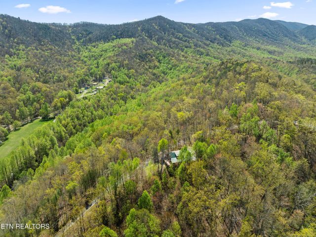 4388 Carolina Cove Way, Sevierville, TN 37863