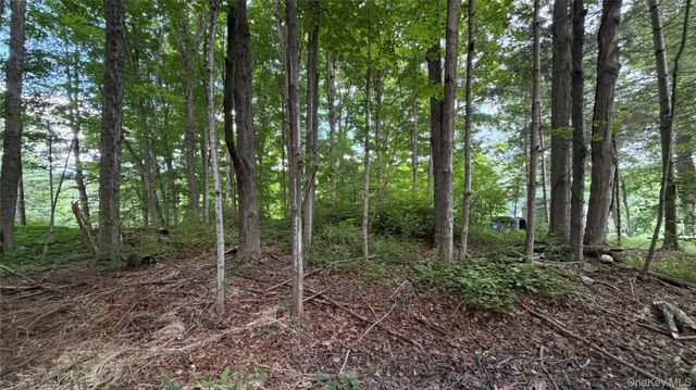 222 Beach Drive, Mahopac, NY 10541