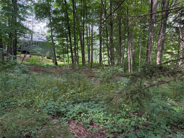 222 Beach Drive, Mahopac, NY 10541