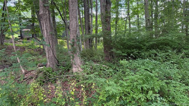 222 Beach Drive, Mahopac, NY 10541