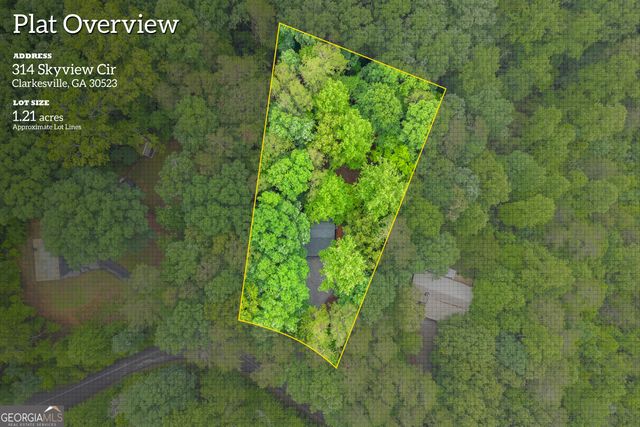 314 Skyview Circle, Clarkesville, GA 30523