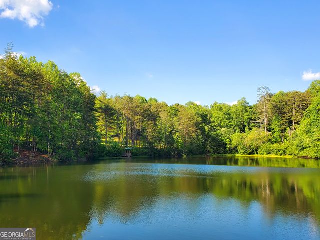 314 Skyview Circle, Clarkesville, GA 30523