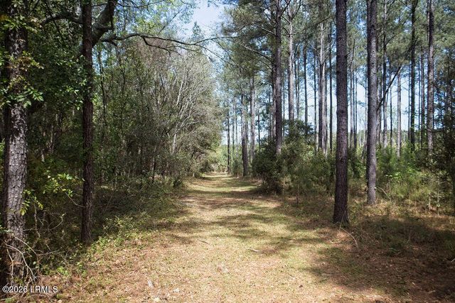 1342 Thomas Hamilton Road, Brunson, SC 29911