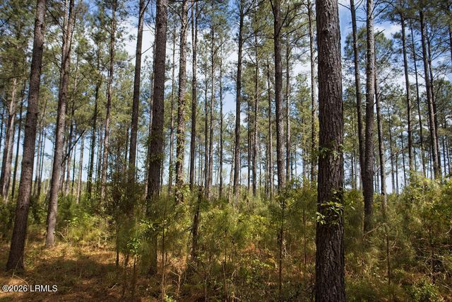 1342 Thomas Hamilton Road, Brunson, SC 29911