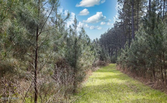 1342 Thomas Hamilton Road, Brunson, SC 29911