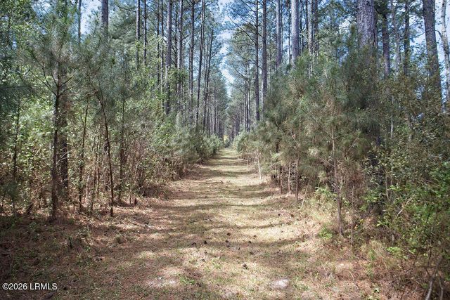 1342 Thomas Hamilton Road, Brunson, SC 29911