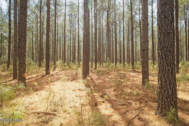 1342 Thomas Hamilton Road, Brunson, SC 29911