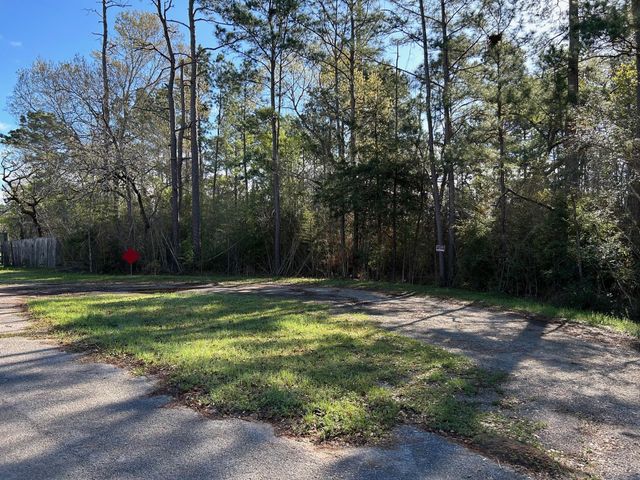 24636 Canterbury Circle, Hockley, TX 77447