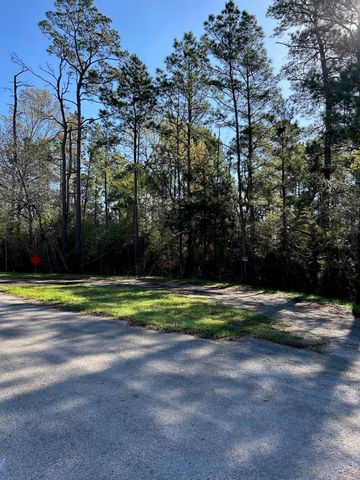 24636 Canterbury Circle, Hockley, TX 77447