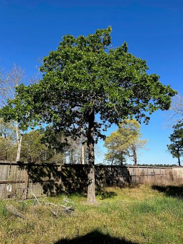 24636 Canterbury Circle, Hockley, TX 77447