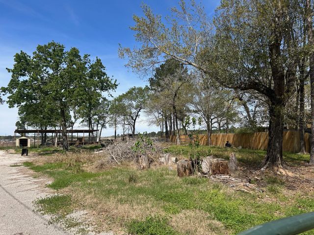 24636 Canterbury Circle, Hockley, TX 77447