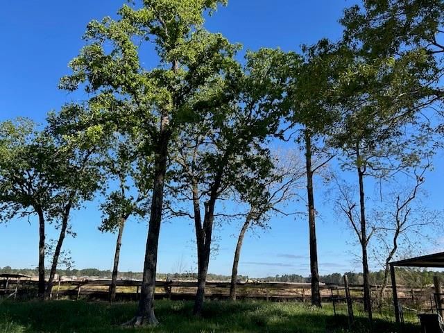 24636 Canterbury Circle, Hockley, TX 77447